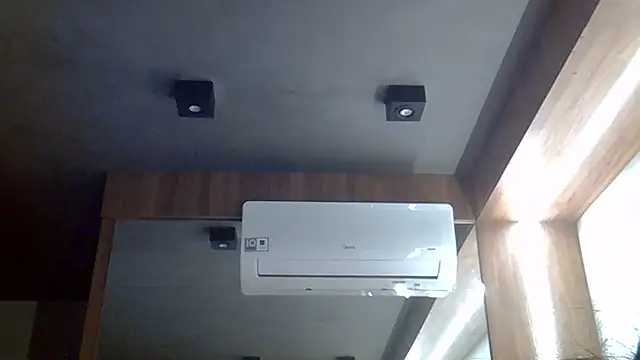 SkinnyKitten webcam
