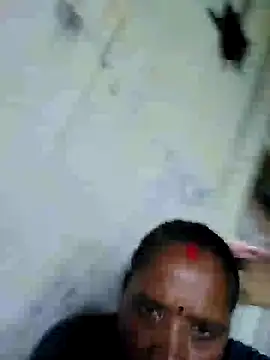 Loomaraj webcam