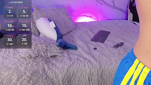Saimonvela webcam