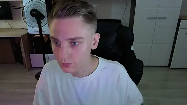 pvlpstvy webcam