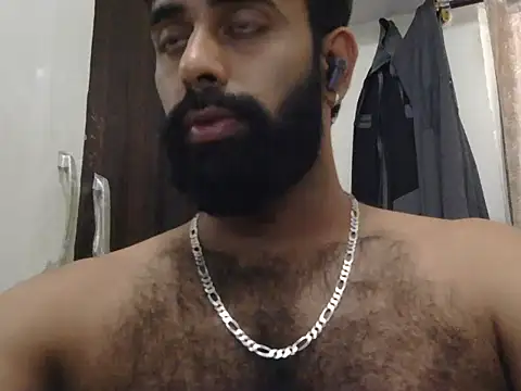 indianhairybull webcam