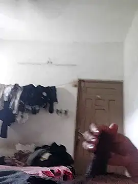 hotbull30 webcam