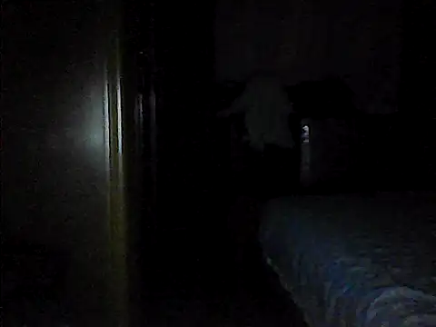 perlados webcam