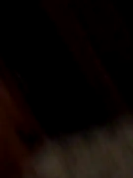 Camiin20 webcam