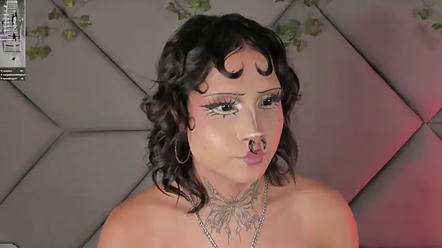StellarKitty_ webcam