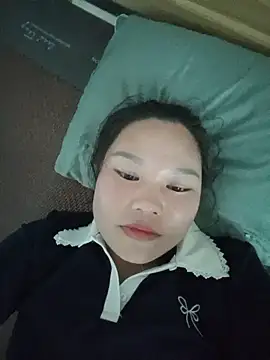 Holy-mi webcam