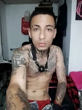stivwar live cam on StripChat