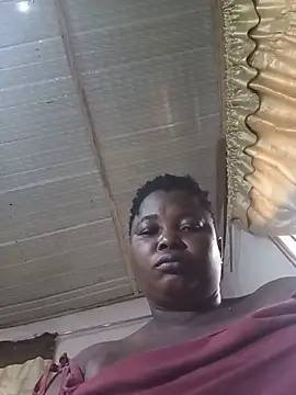 christmaco webcam