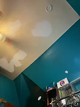 charactrzero live cam on StripChat