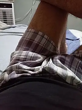 Fierrolay3000 webcam