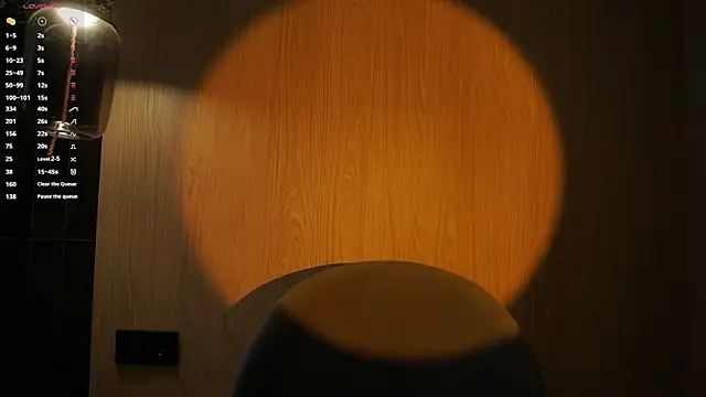 LettySlovacek webcam