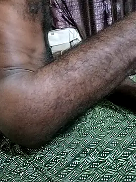 Chocolate_stud10