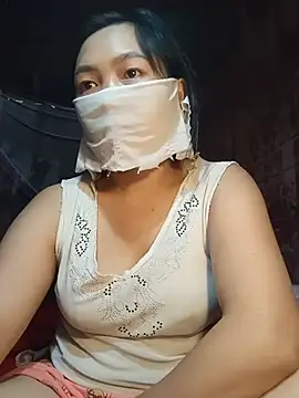 Hiha-nn webcam