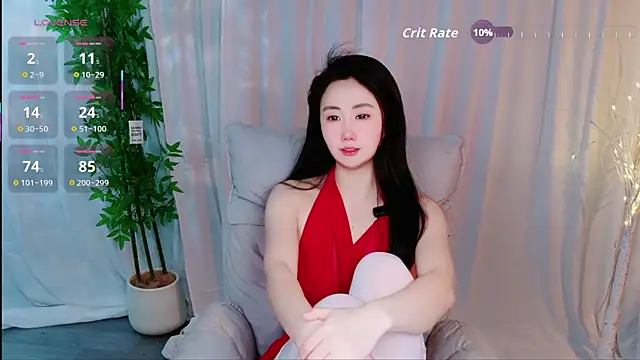 Dolpin_ webcam