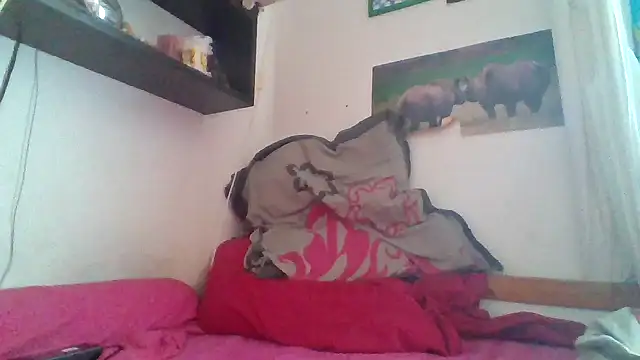 SinfulSilhouette webcam