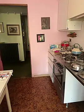 Sunbelxx live webcam