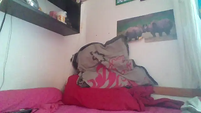 SinfulSilhouette webcam