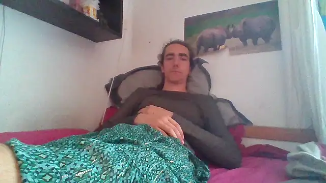 SinfulSilhouette webcam