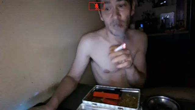 Hgay6935 webcam