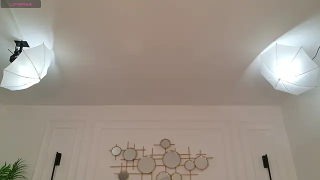IrisLayne webcam