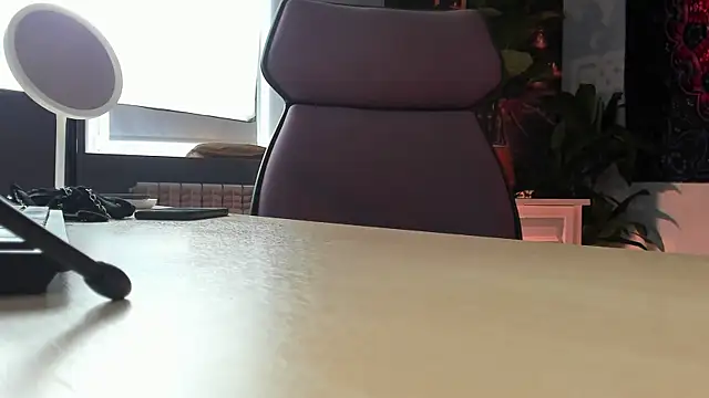 LidaDarknet webcam