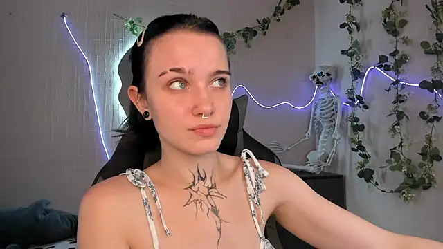 Elastikisss webcam
