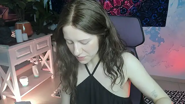 LidaDarknet webcam