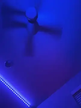 Texxaspearl webcam