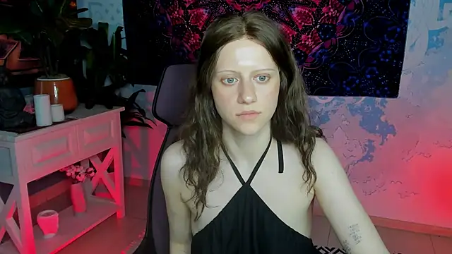 LidaDarknet webcam