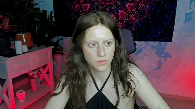 LidaDarknet webcam