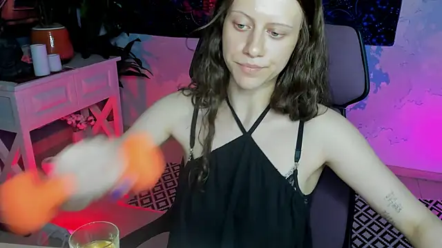 LidaDarknet webcam