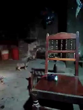 phlin1 webcam