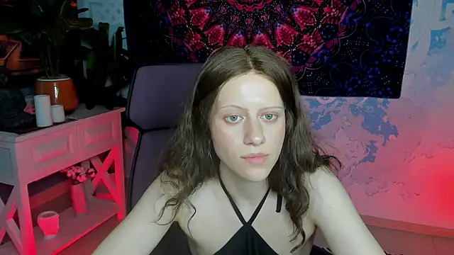 LidaDarknet webcam