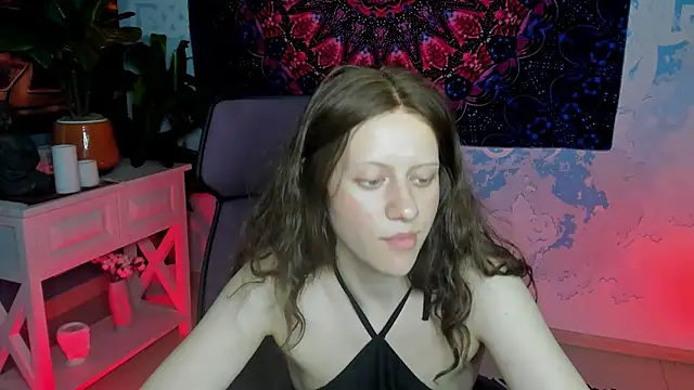 LidaDarknet webcam