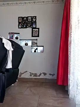 Thaps_deDick webcam