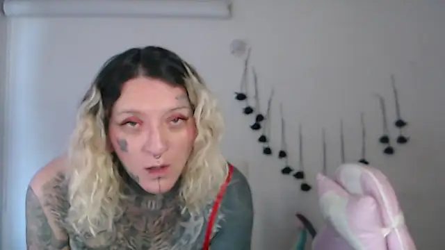 SLOPPYTITSS webcam