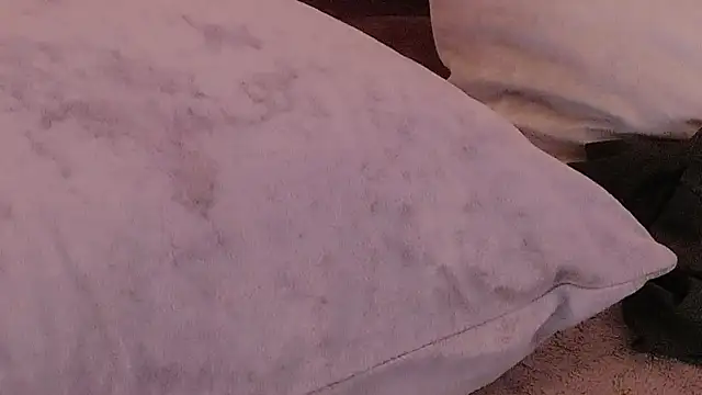 S_andra_ webcam
