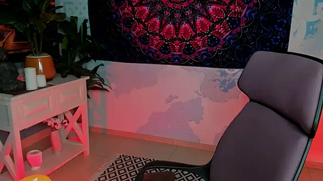 LidaDarknet webcam