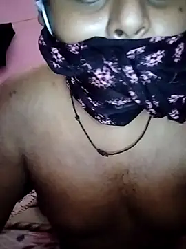 sissybar