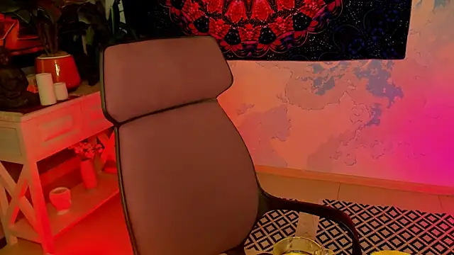 LidaDarknet webcam
