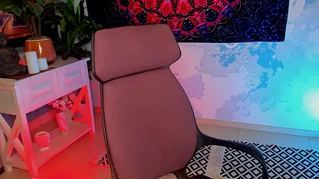 LidaDarknet webcam