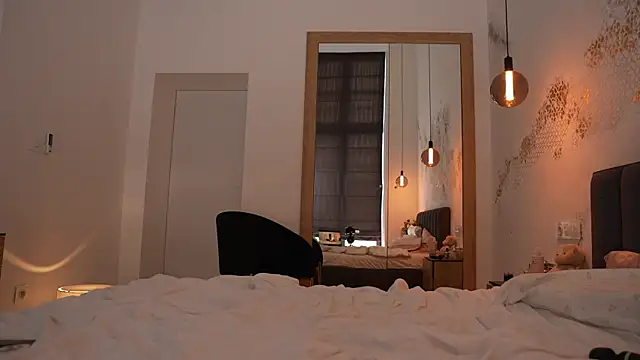 ibiddi webcam
