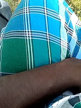 dolphiinn webcam