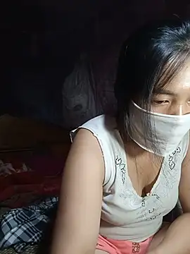 Hiha-nn webcam
