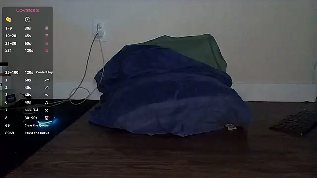 steelwoodVids webcam