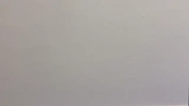 adelaide2026 webcam
