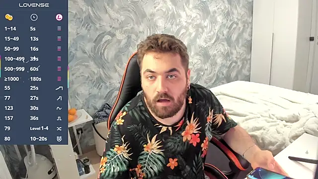 Morlaios webcam