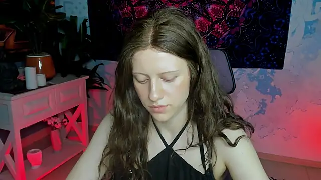 LidaDarknet webcam