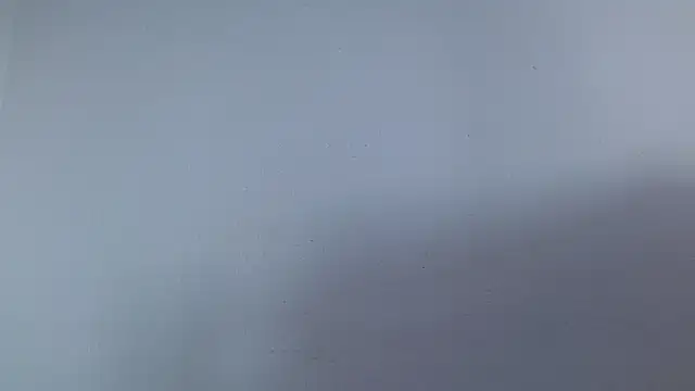 isabel_24_gil webcam