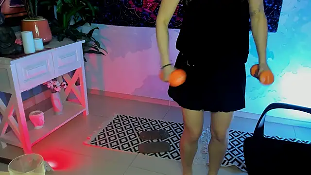 LidaDarknet webcam